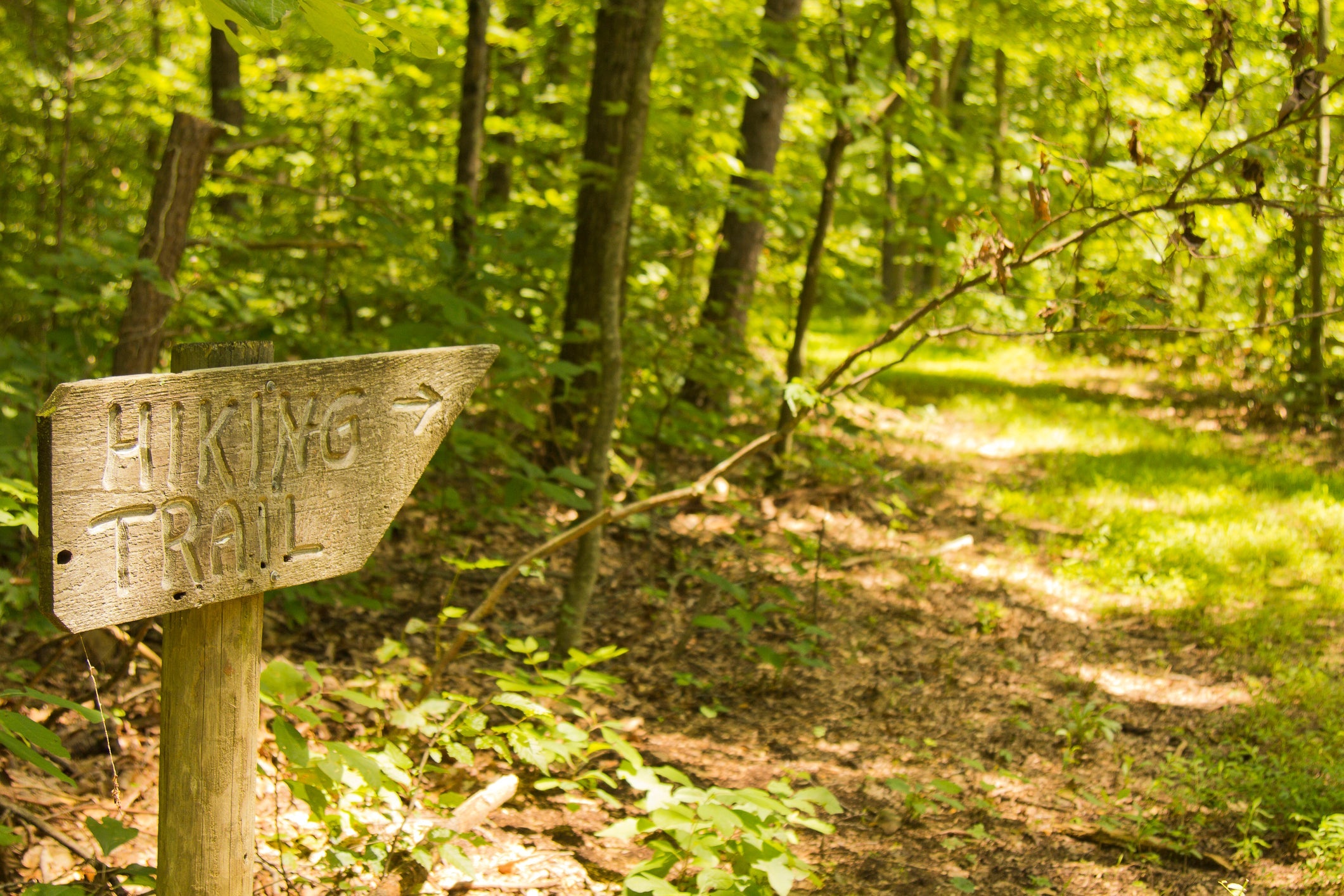 Should I Carry a Gun While Hiking?
