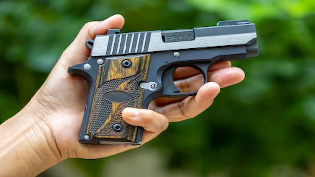 Ranking Handguns - What Is the Best Small Carry Gun?