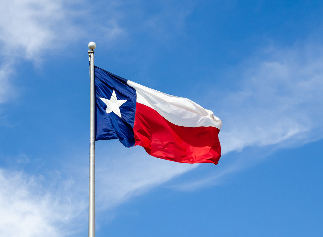 Texas Gun and Concealed Carry Laws: Five Things You Should Know