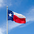 Texas Gun and Concealed Carry Laws: Five Things You Should Know